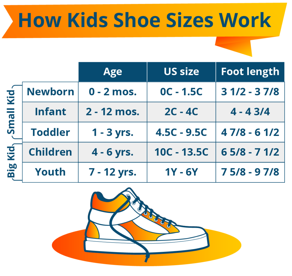 Baby's Shoe Size Chart By Age, What Size Shoe For, 56% OFF