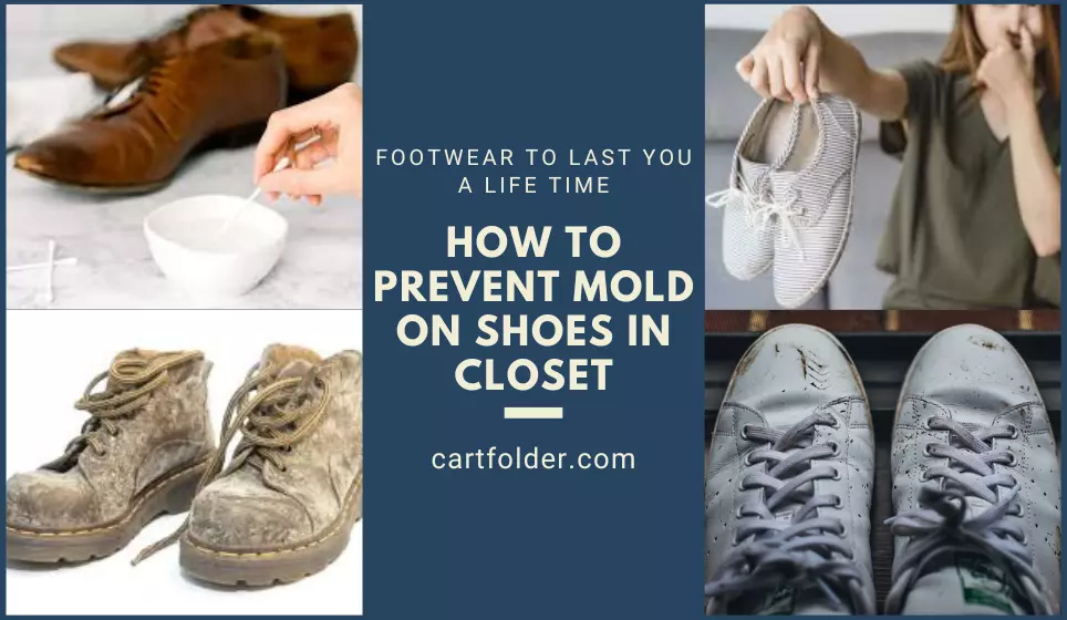 How to Prevent Mold on Shoes In Closet