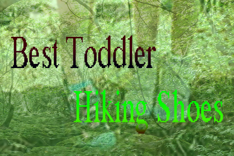 Best Toddler Hiking Shoes